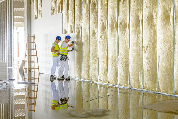 Best Professional Insulation Contractor  in Baldwin, FL